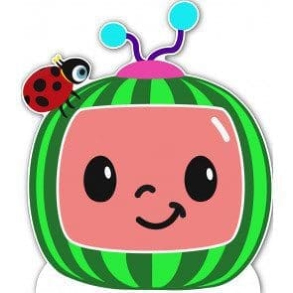 Party Decoration Cardboard cutout Personalised Cardboard